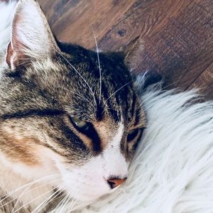 Meet your Posher, Alexandra